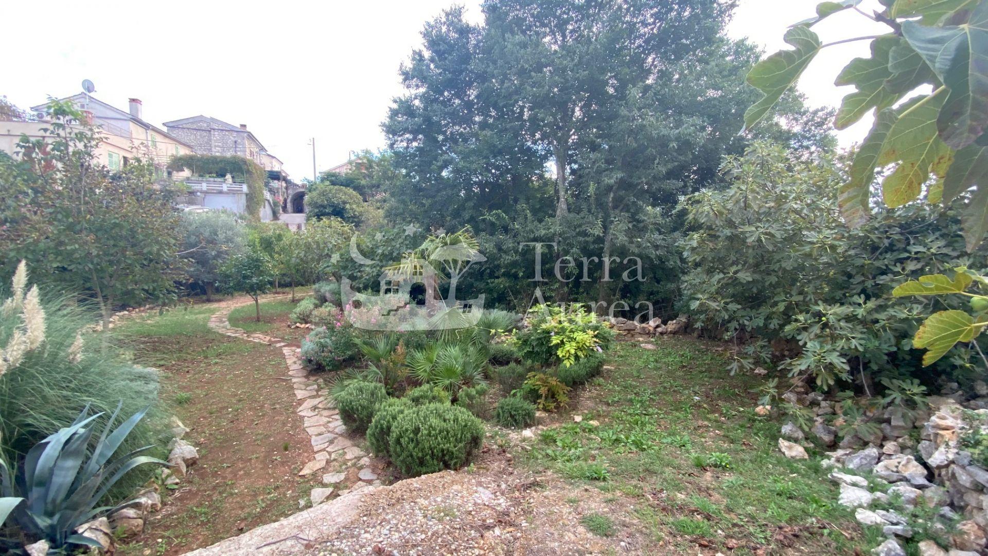image-19
