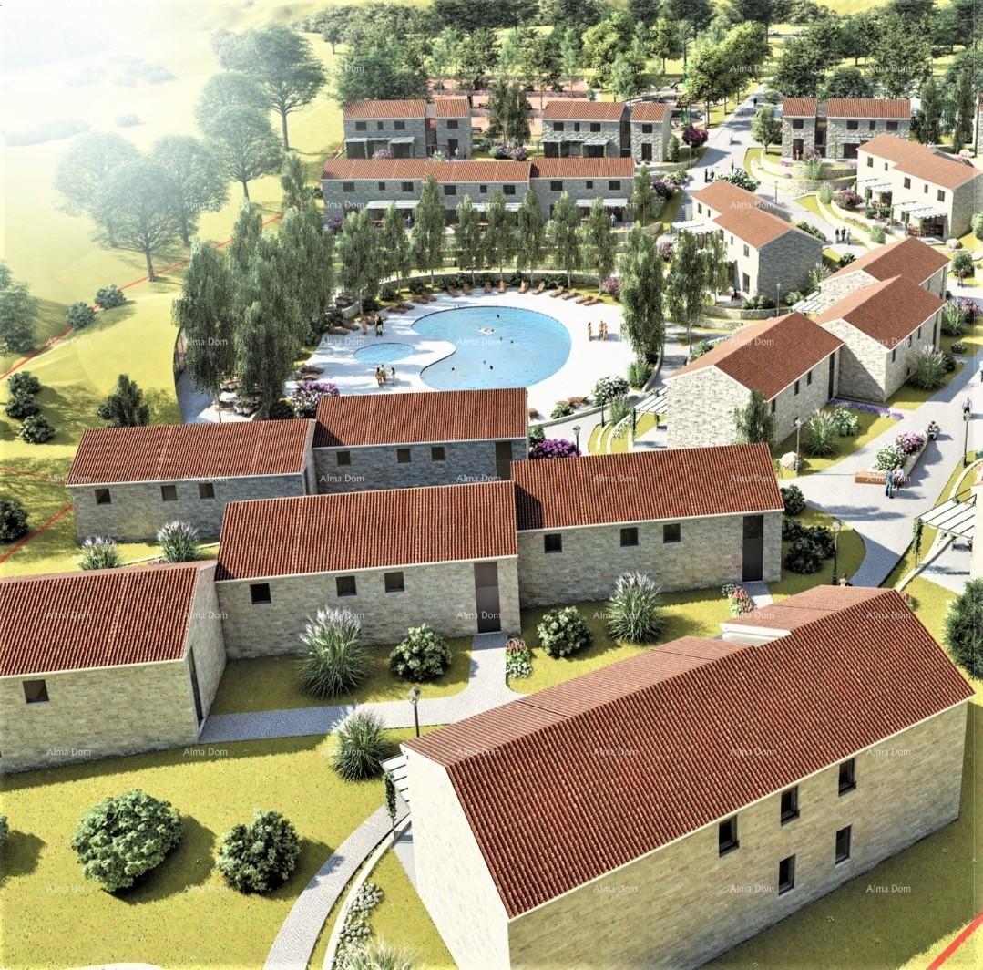 image-20