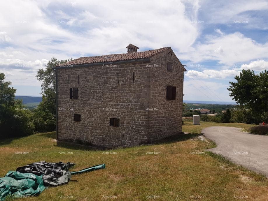 image-1
