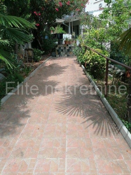 image-19