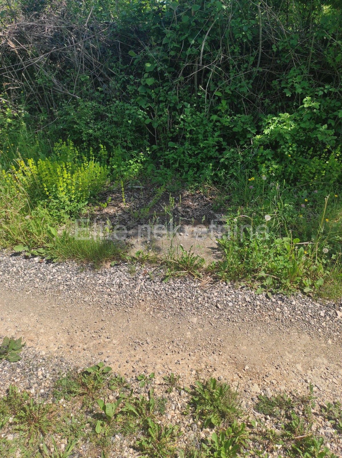 image-18