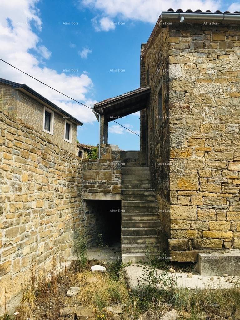 image-11