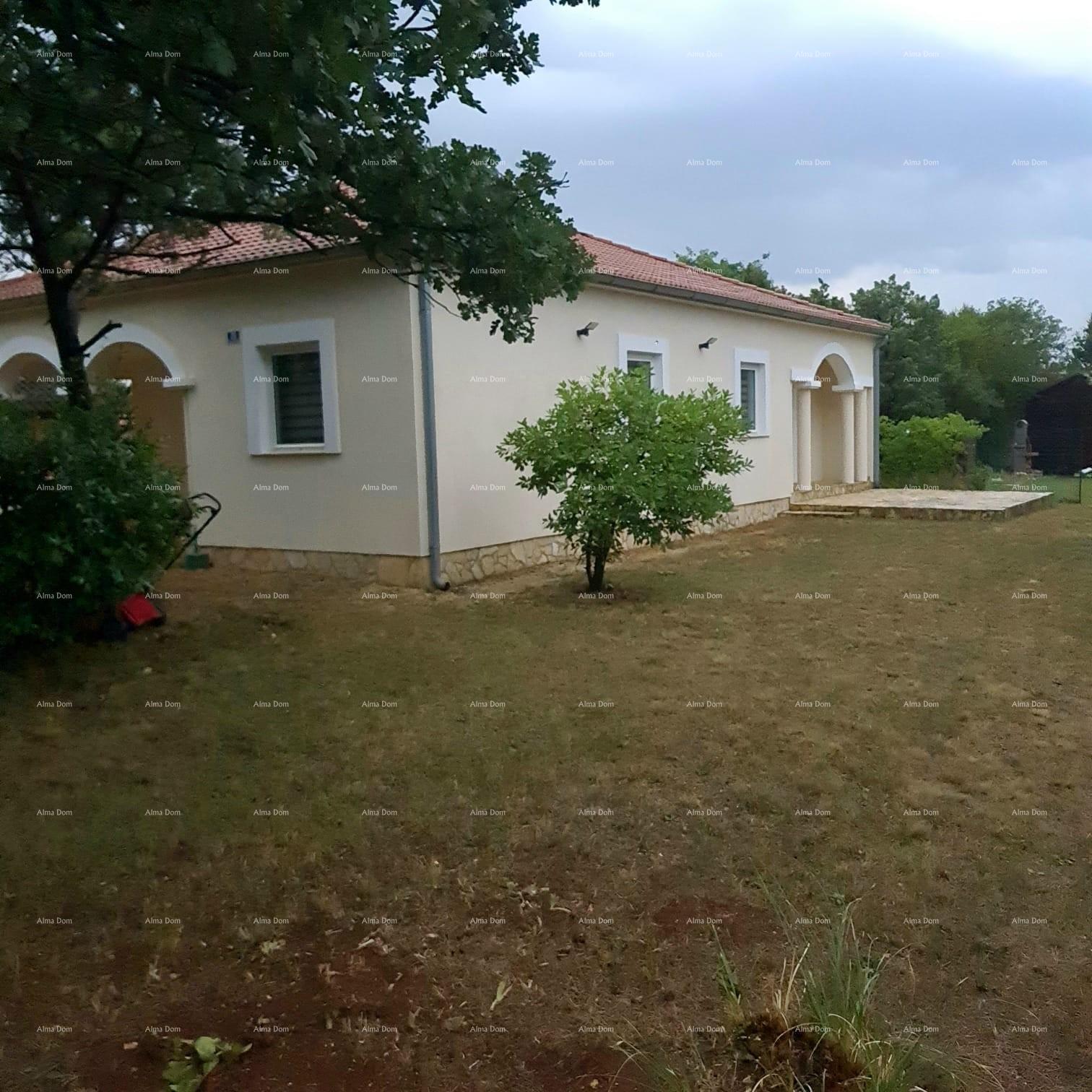 image-21