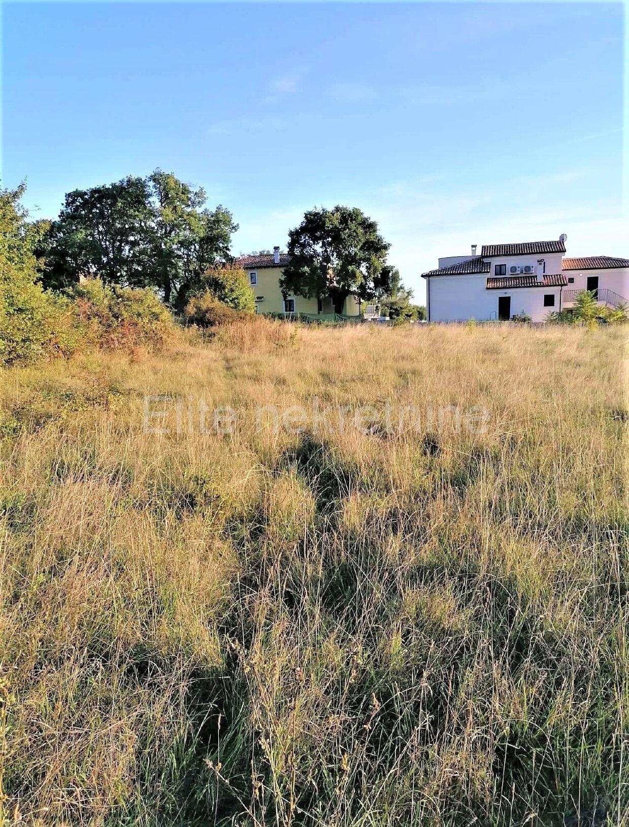 image-20