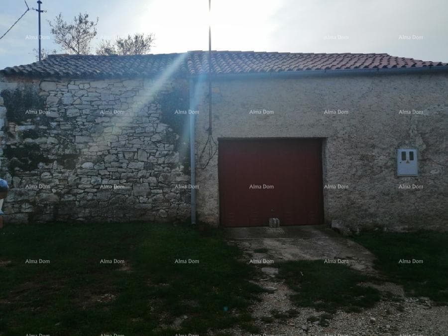 image-8