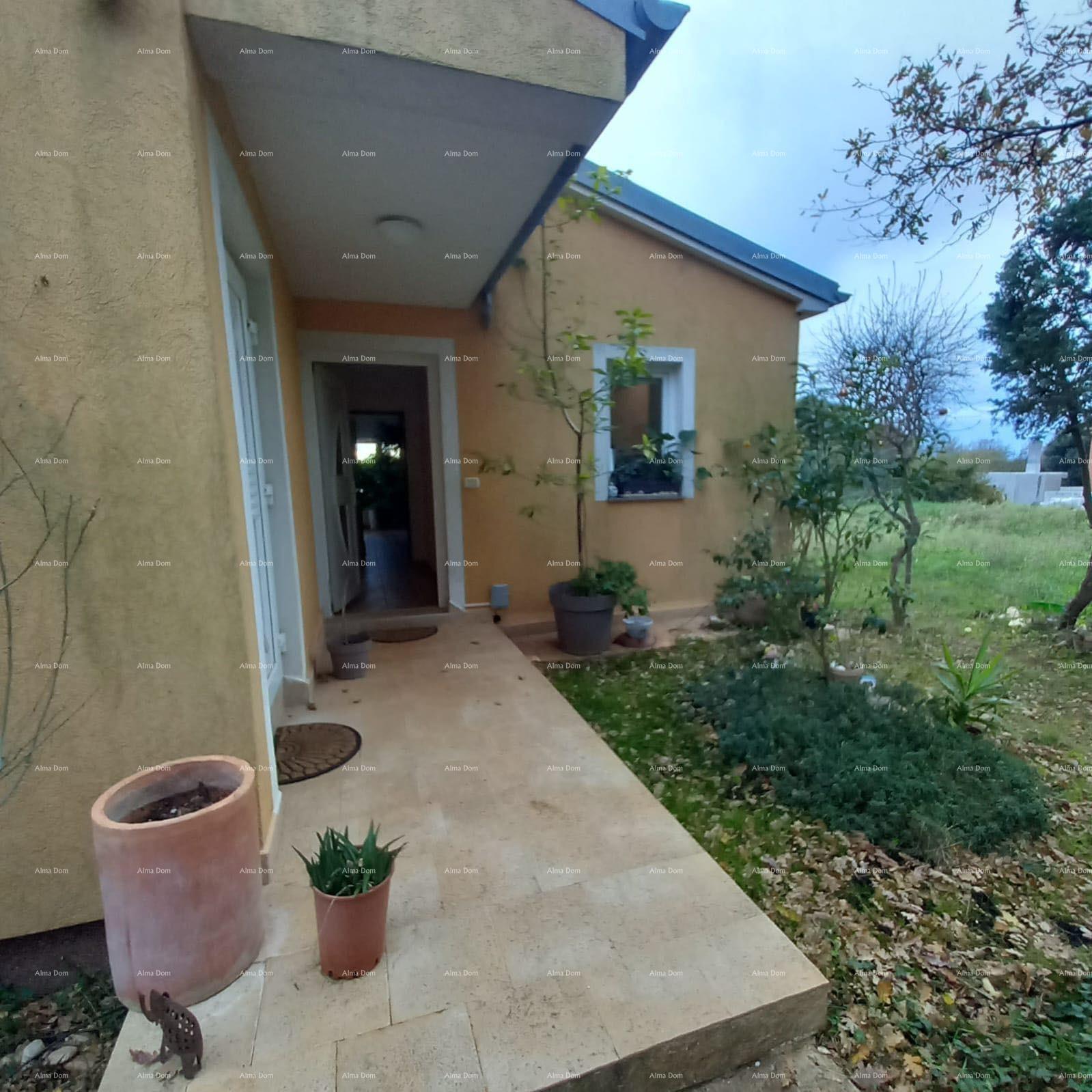image-18