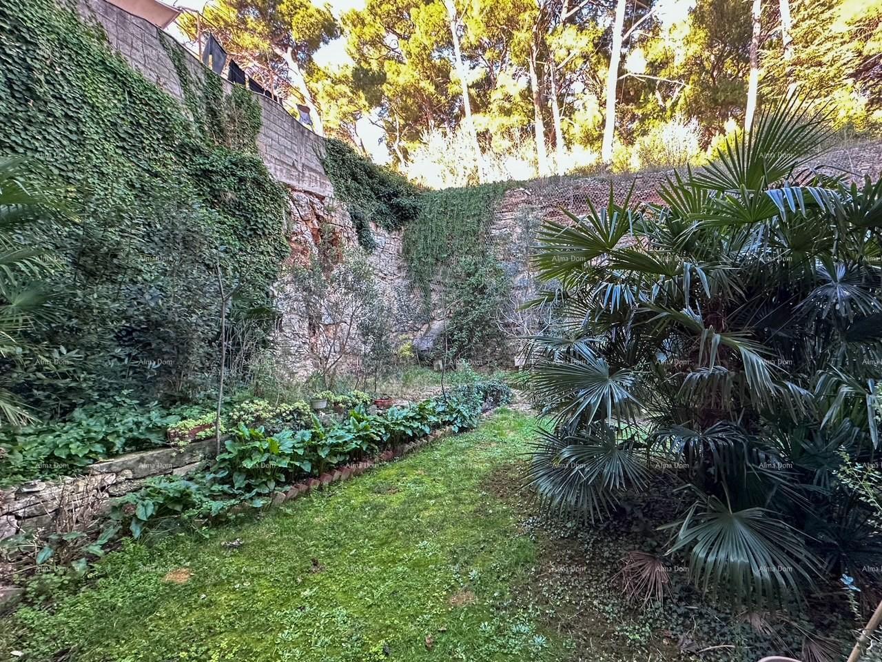 image-19