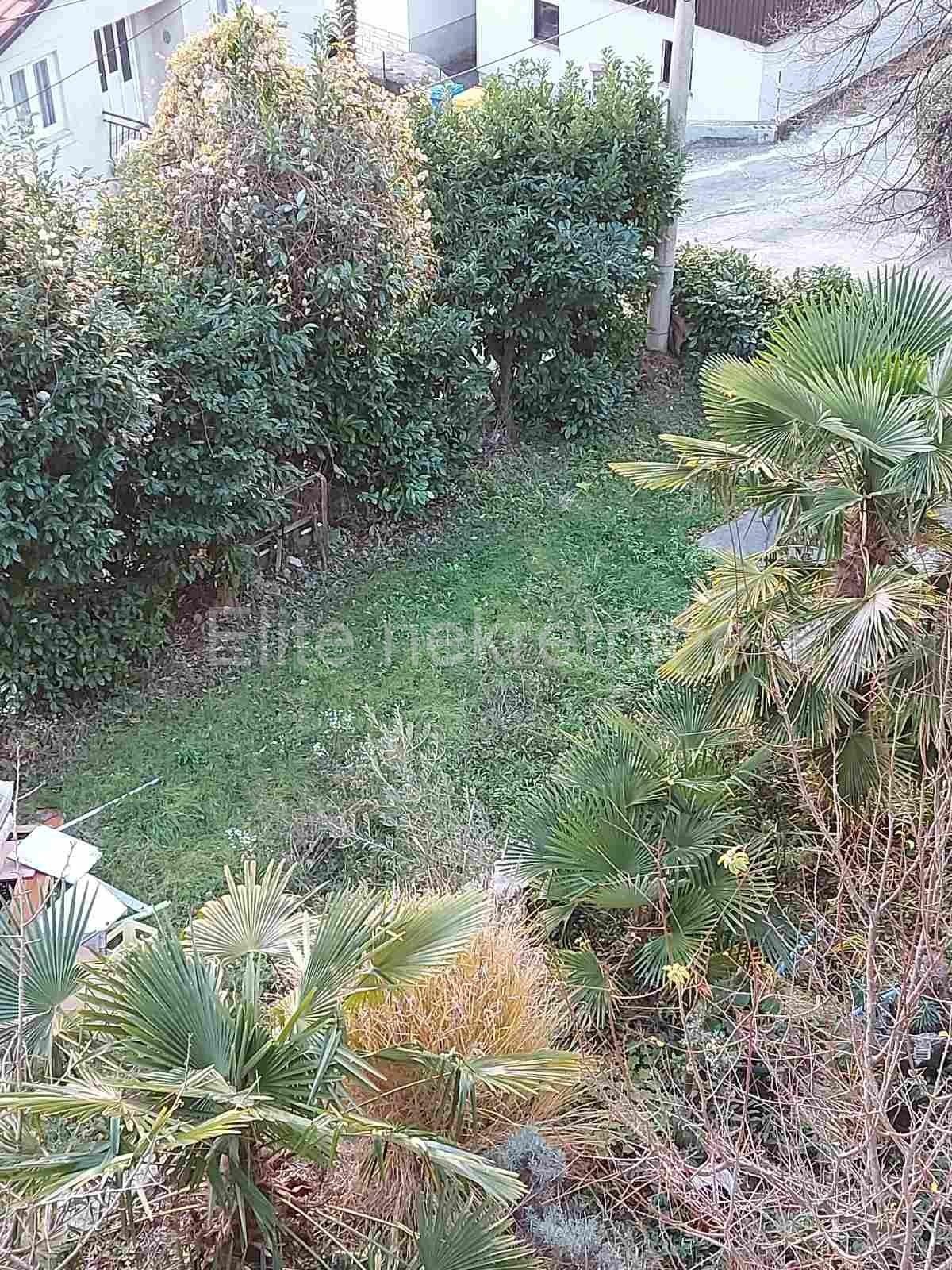 image-18