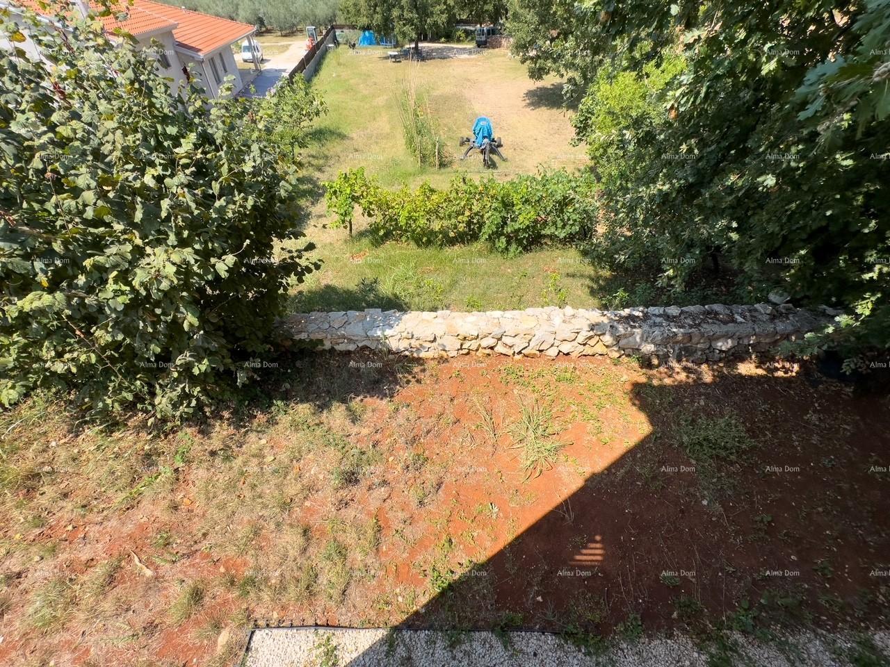 image-24