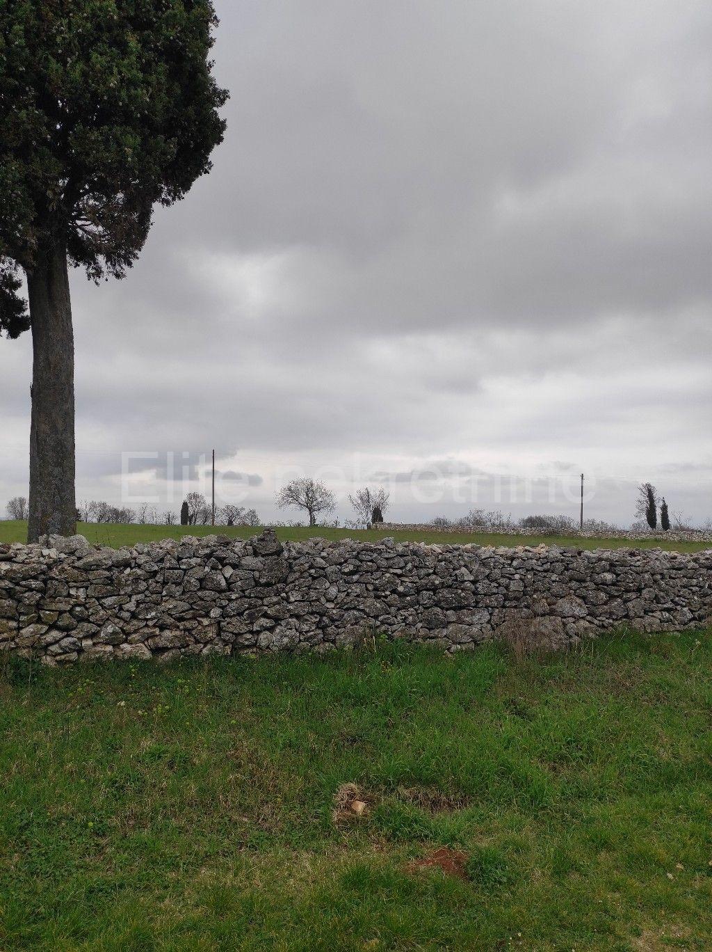 image-27