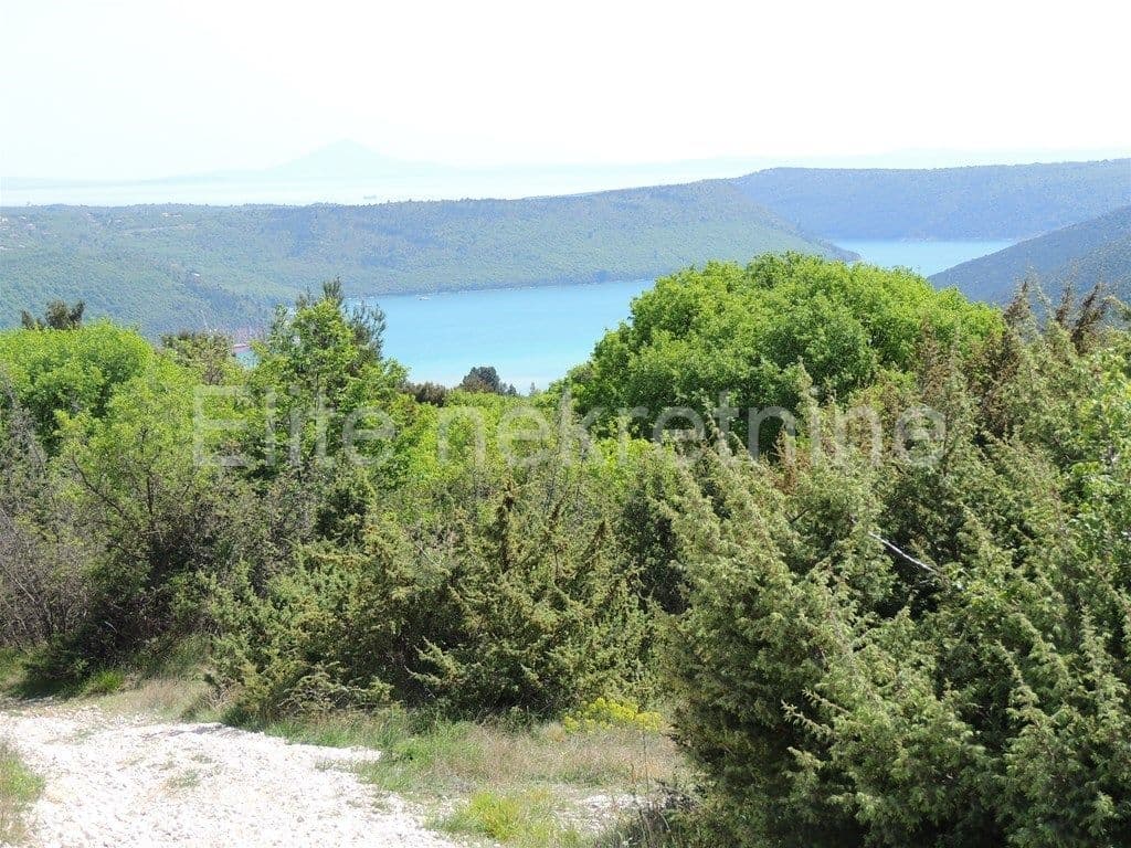 image-8