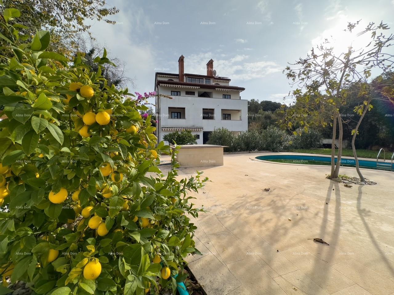 image-20