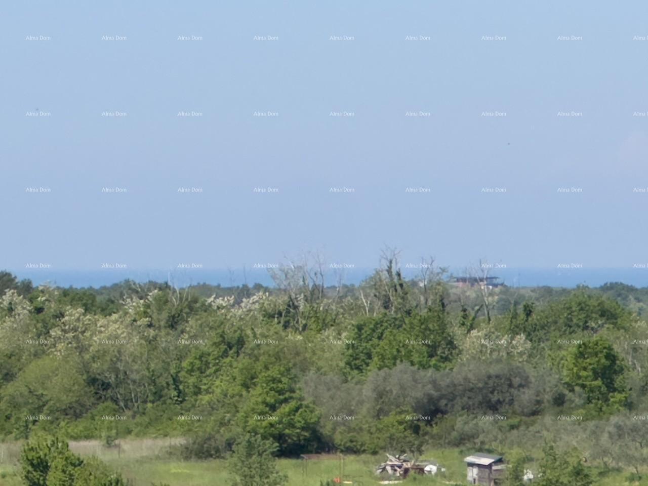 image-25
