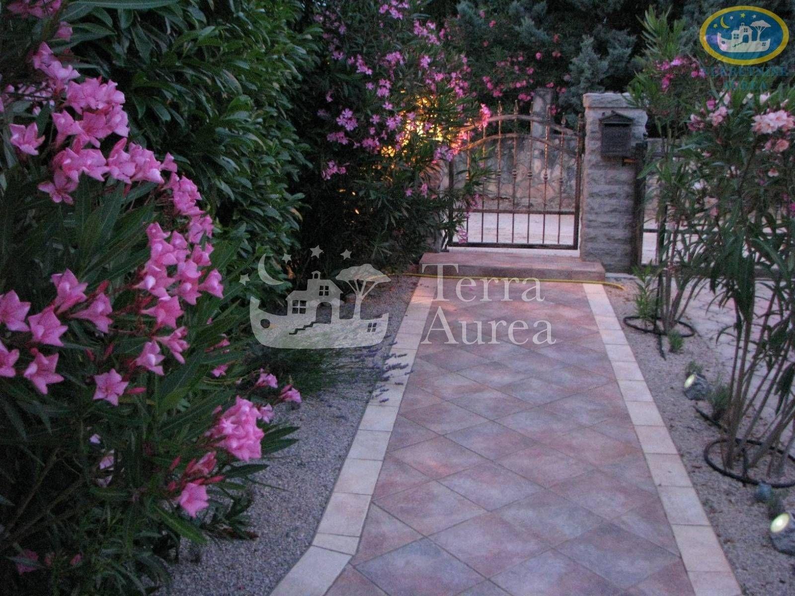 image-19