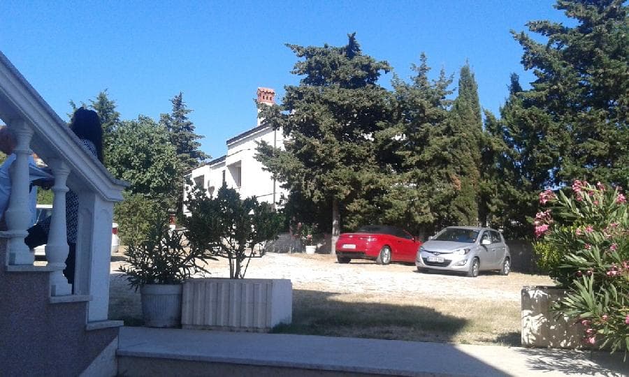image-14