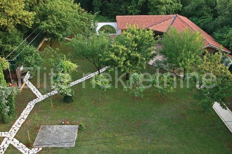 image-14