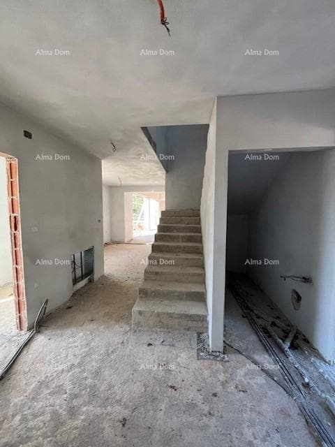 image-19