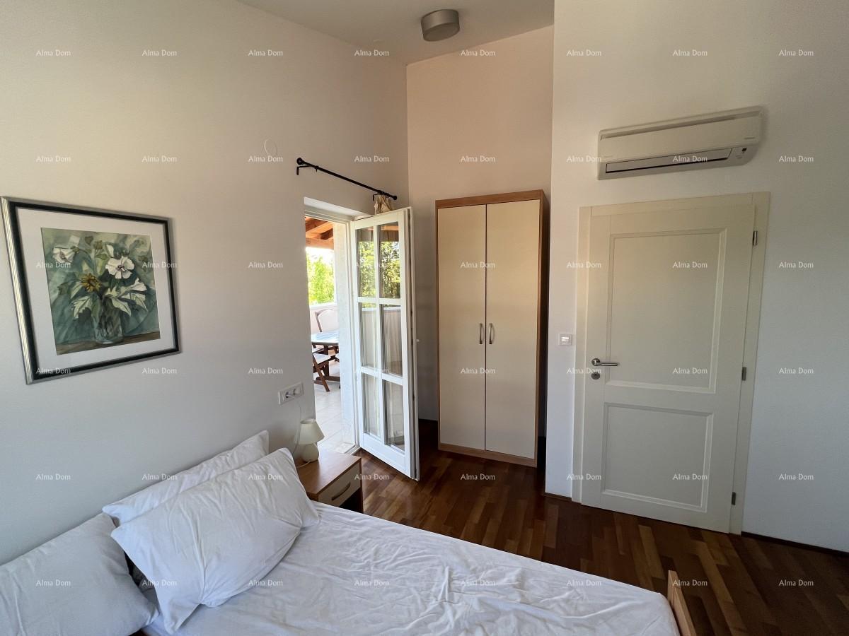 image-19