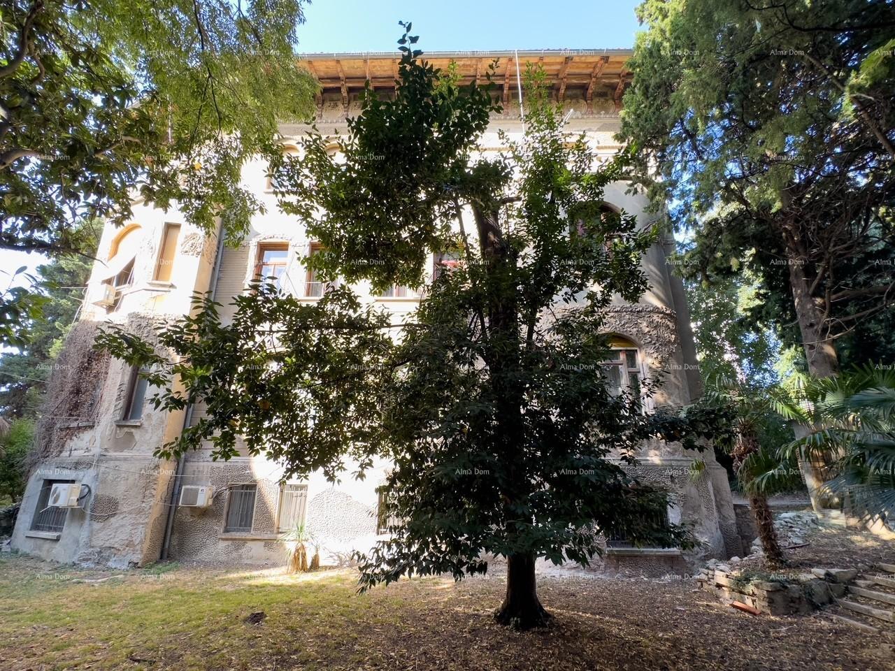 image-26