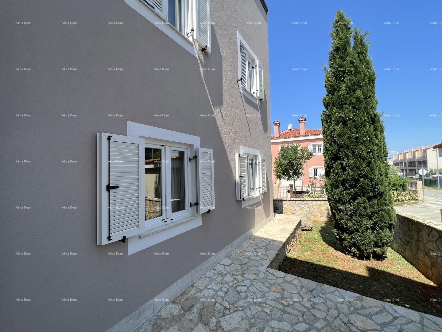 image-19