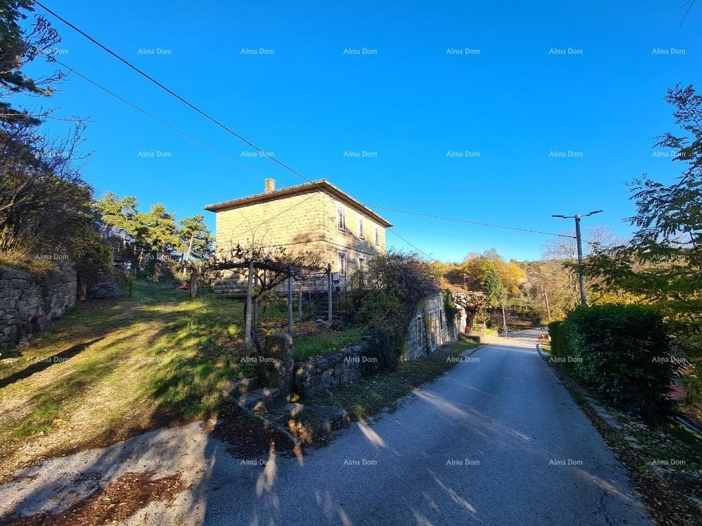 image-5