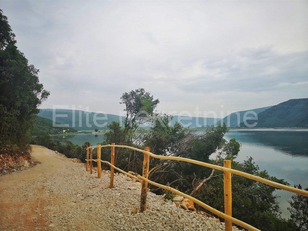 image-6