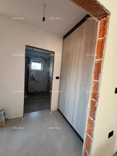 image-19