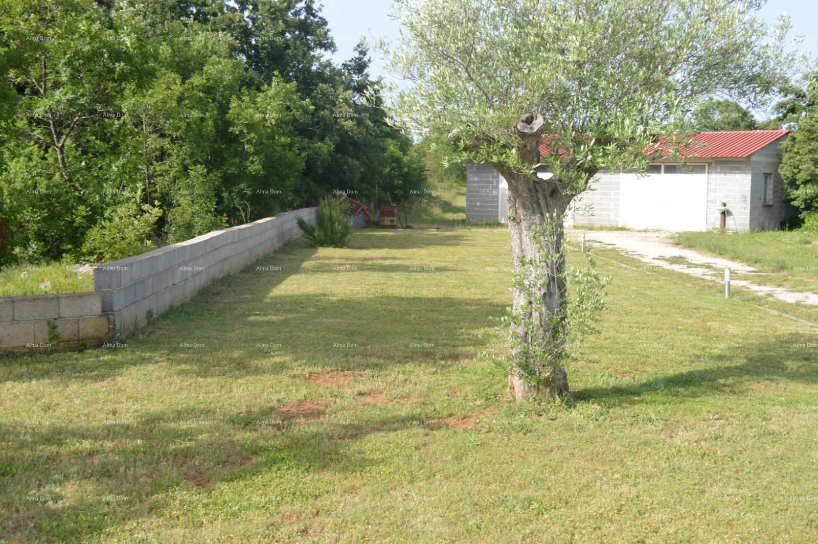 image-17
