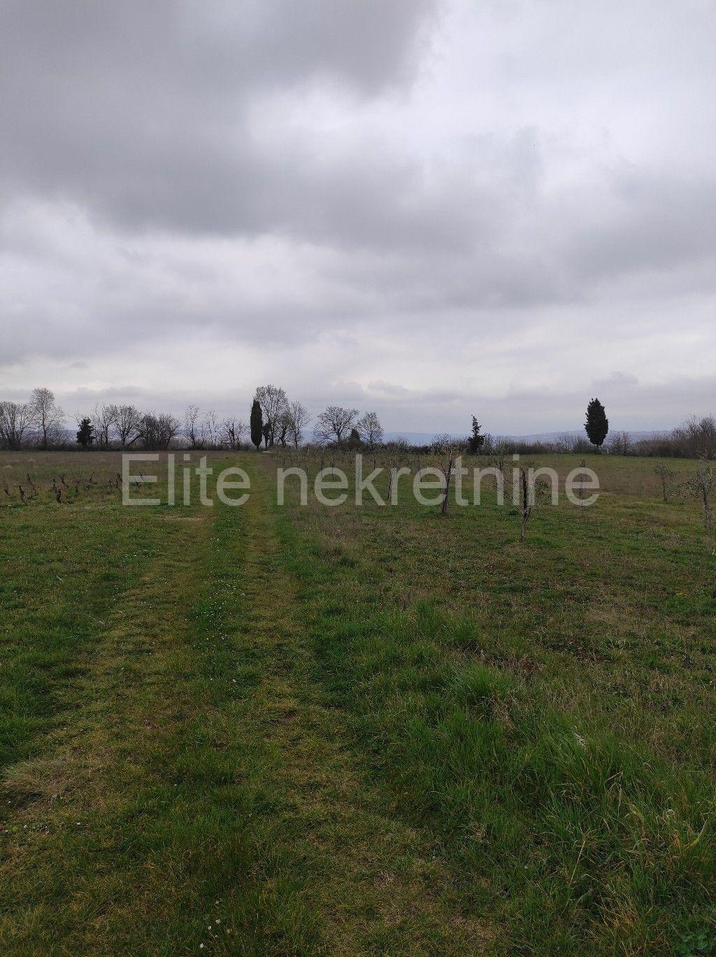 image-19