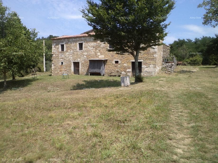 image-5