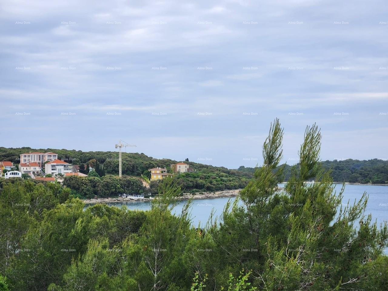image-17
