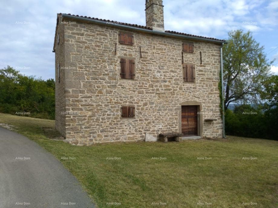 image-6