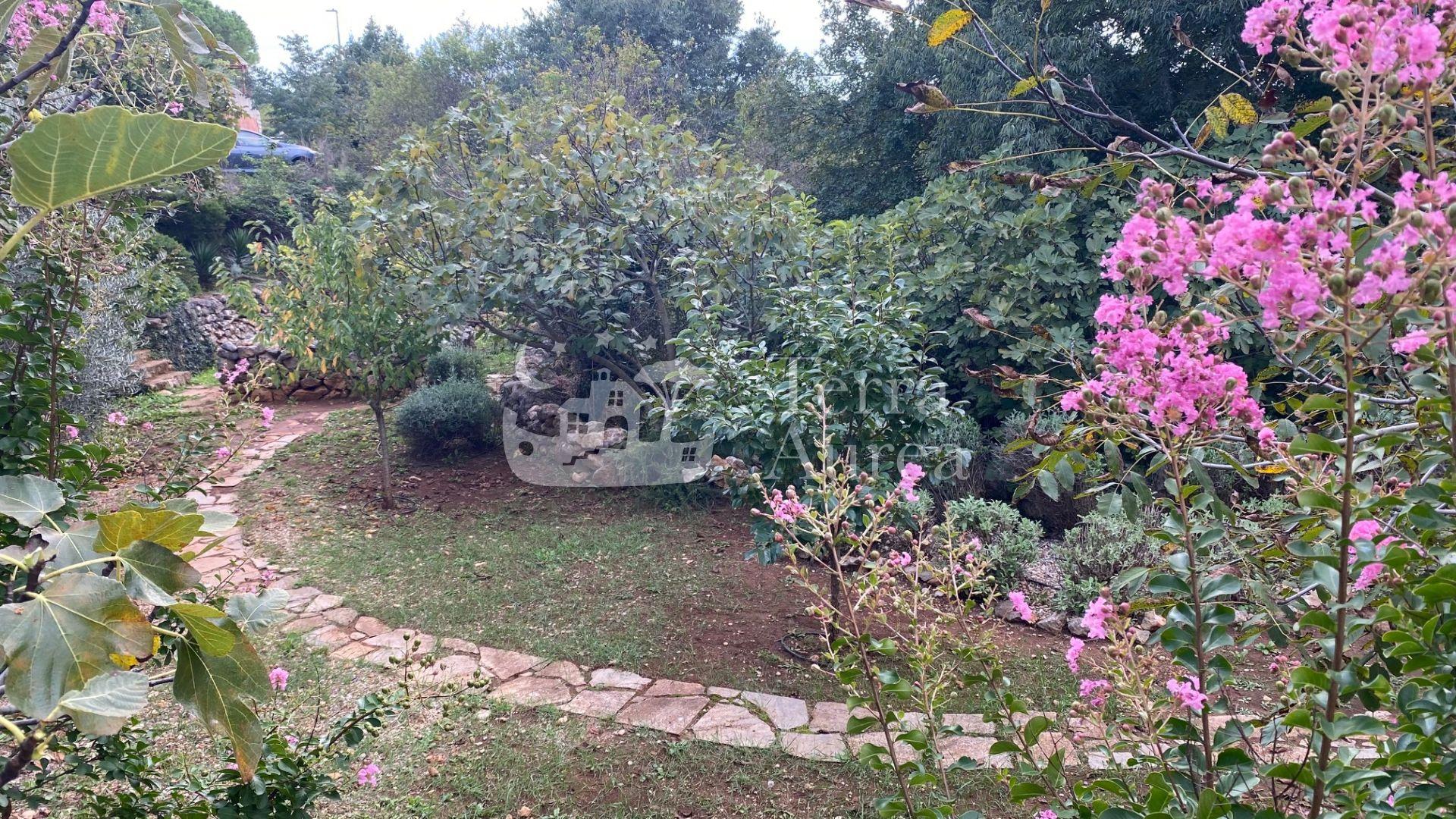 image-20