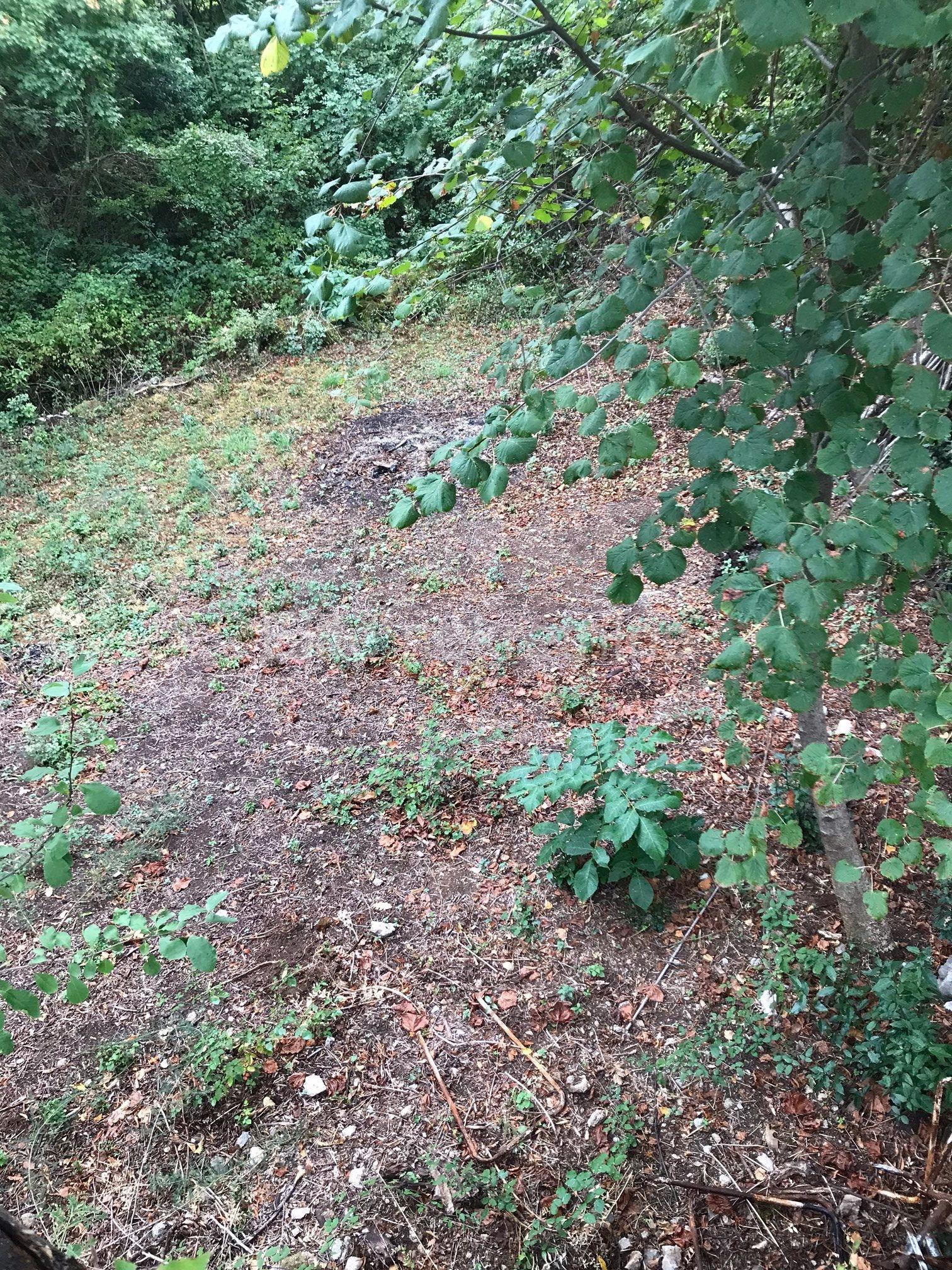 image-13