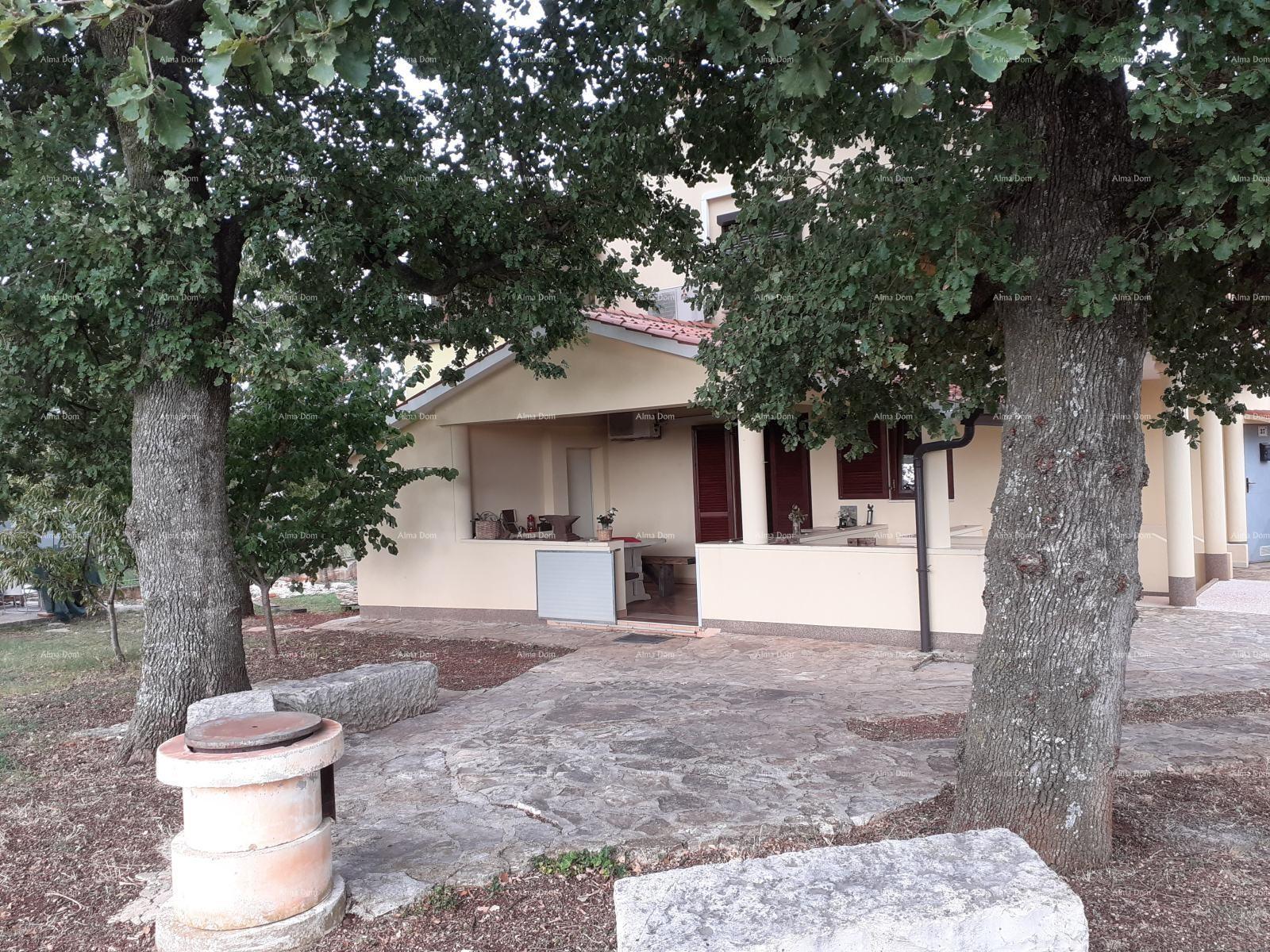 image-17