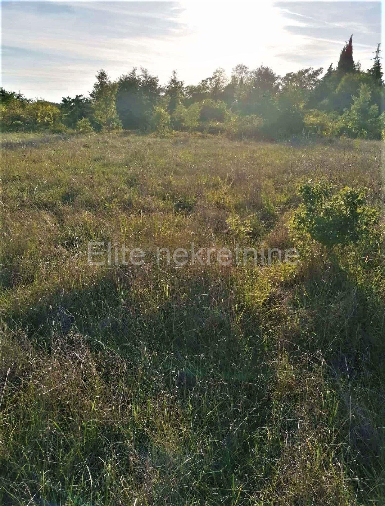 image-17