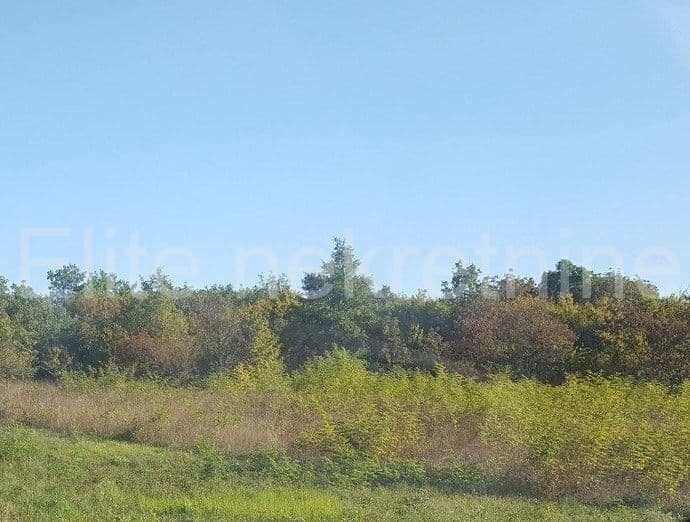 image-0