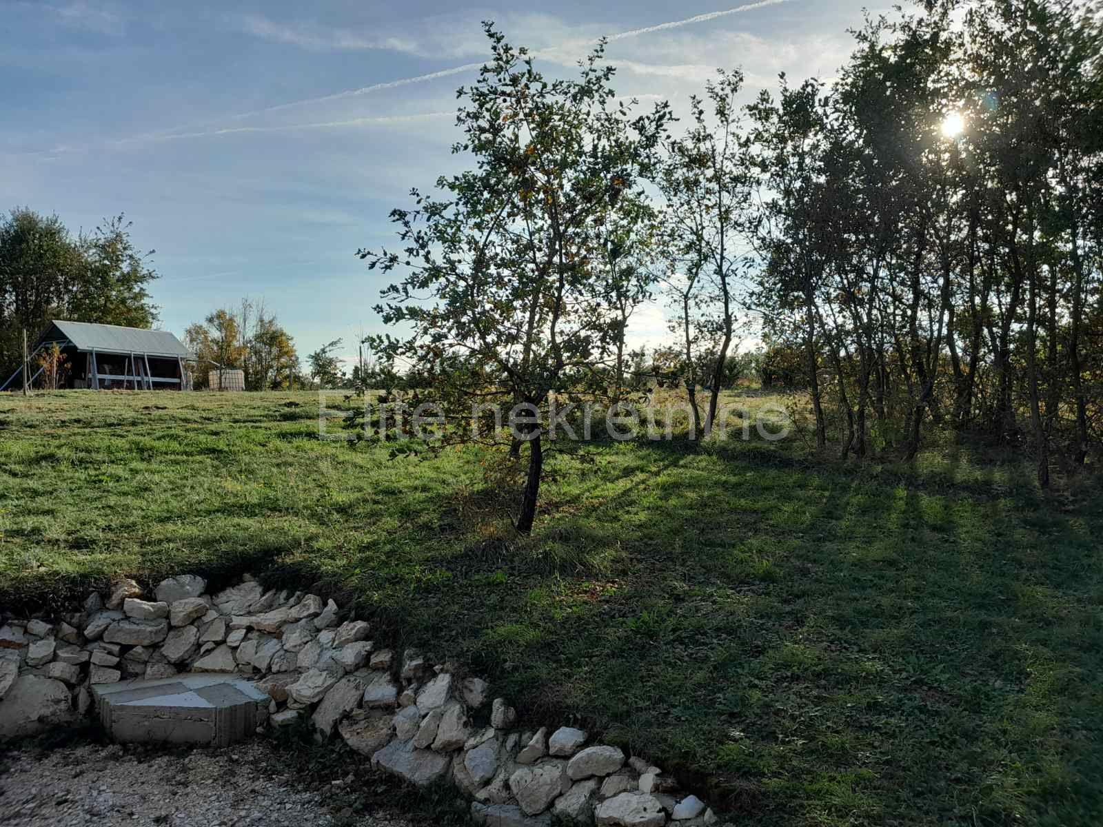 image-19