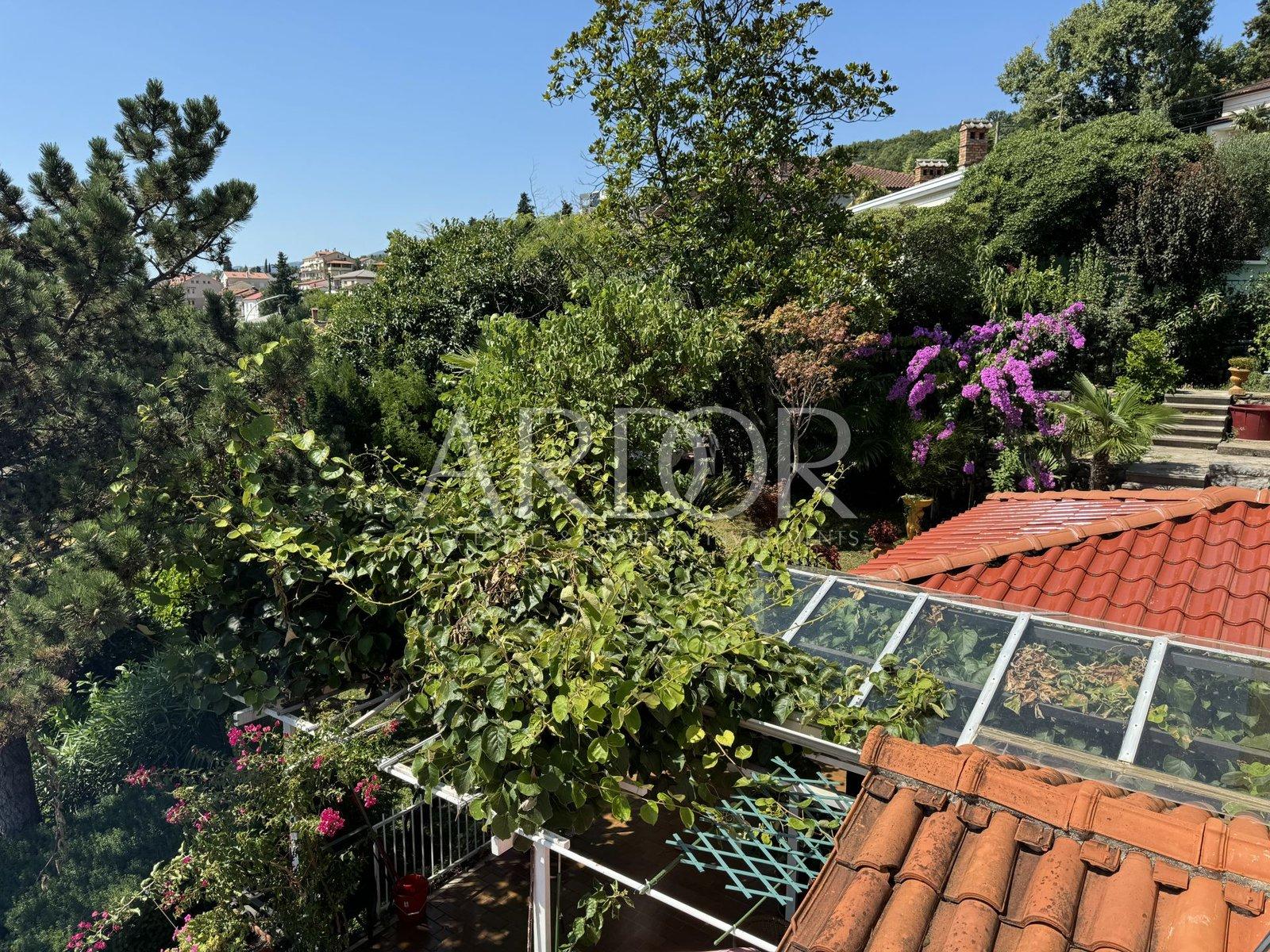 image-18