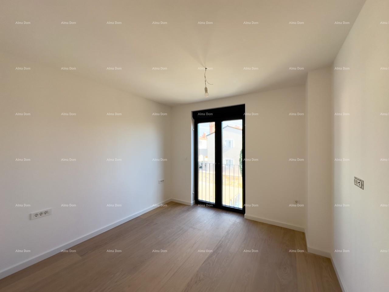 image-19