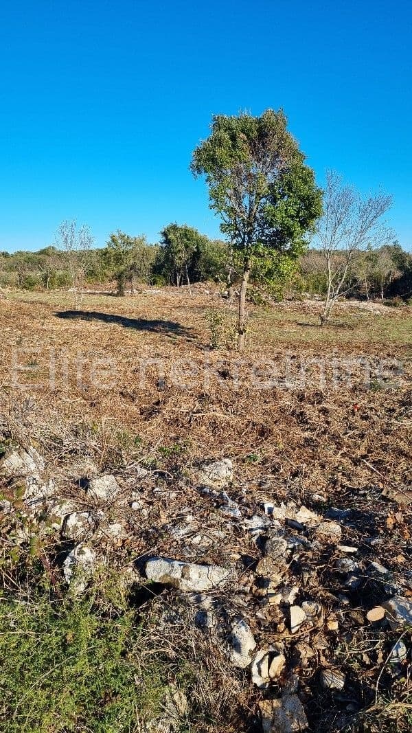 image-4
