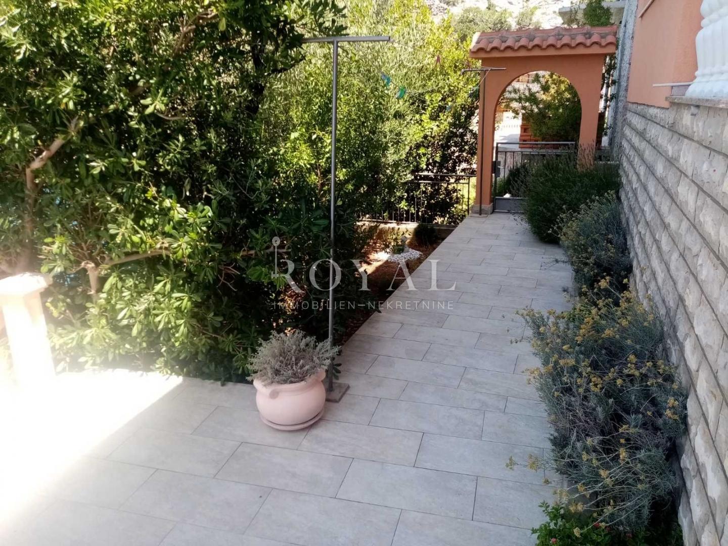 image-19