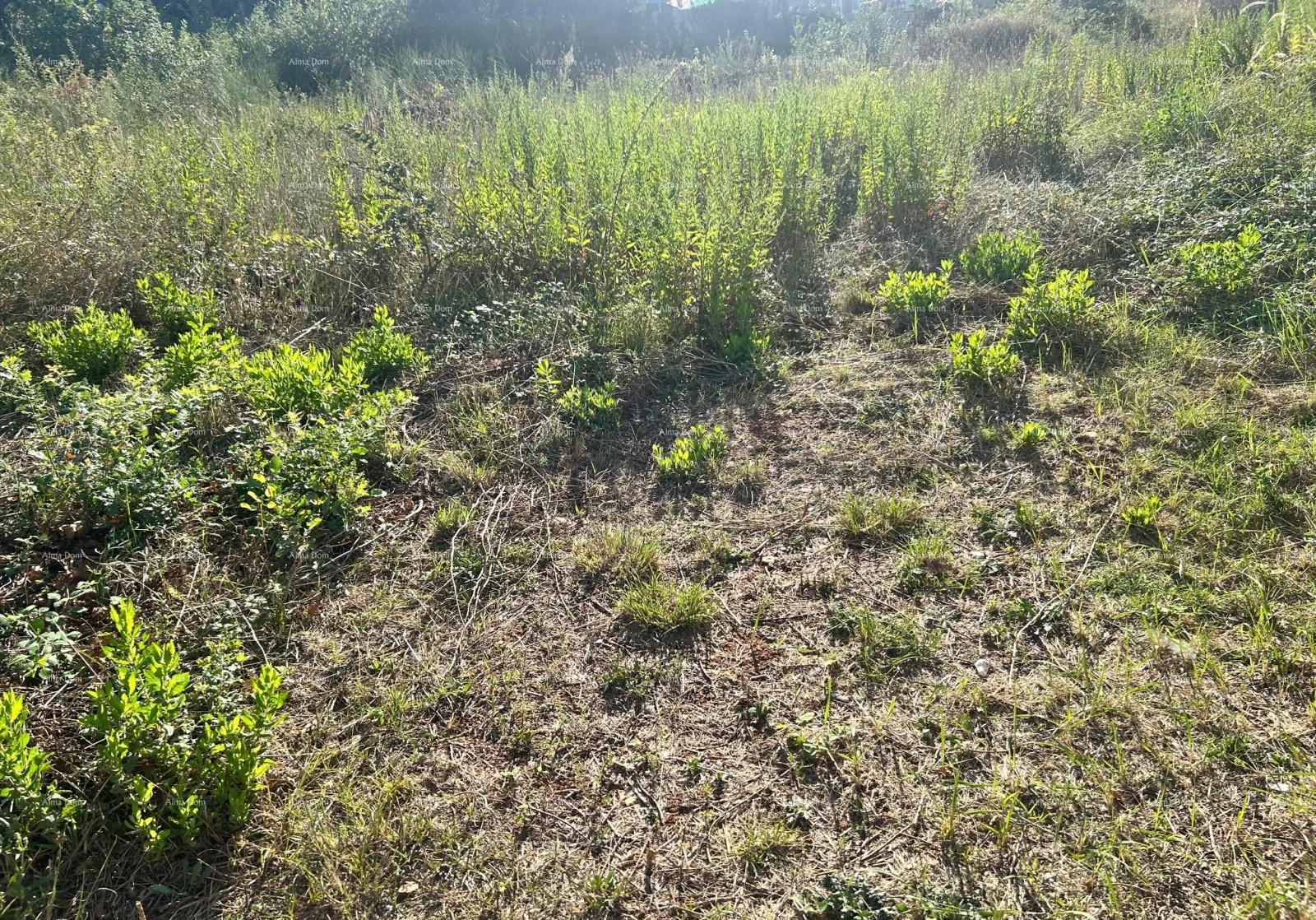 image-0