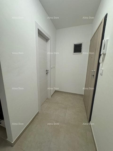 image-0