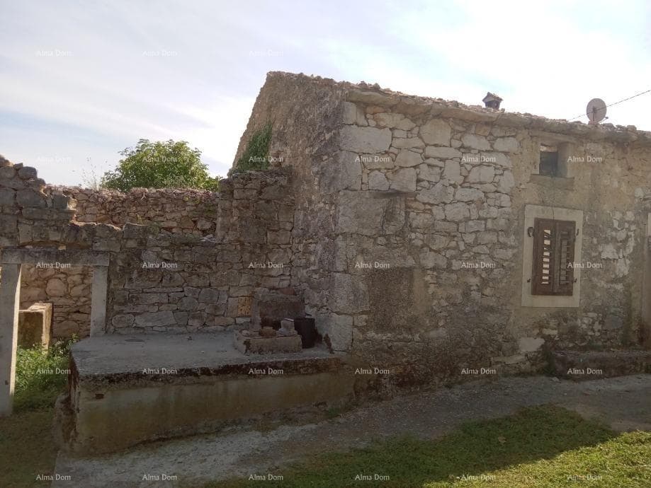 image-10