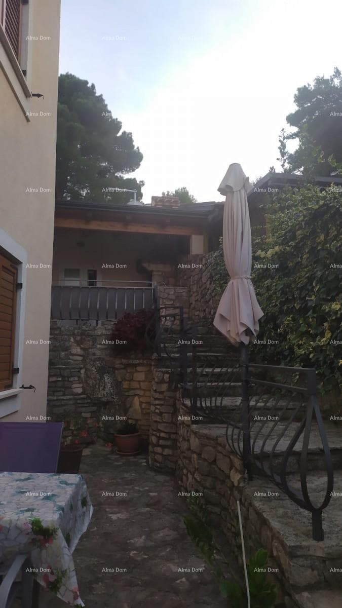 image-20