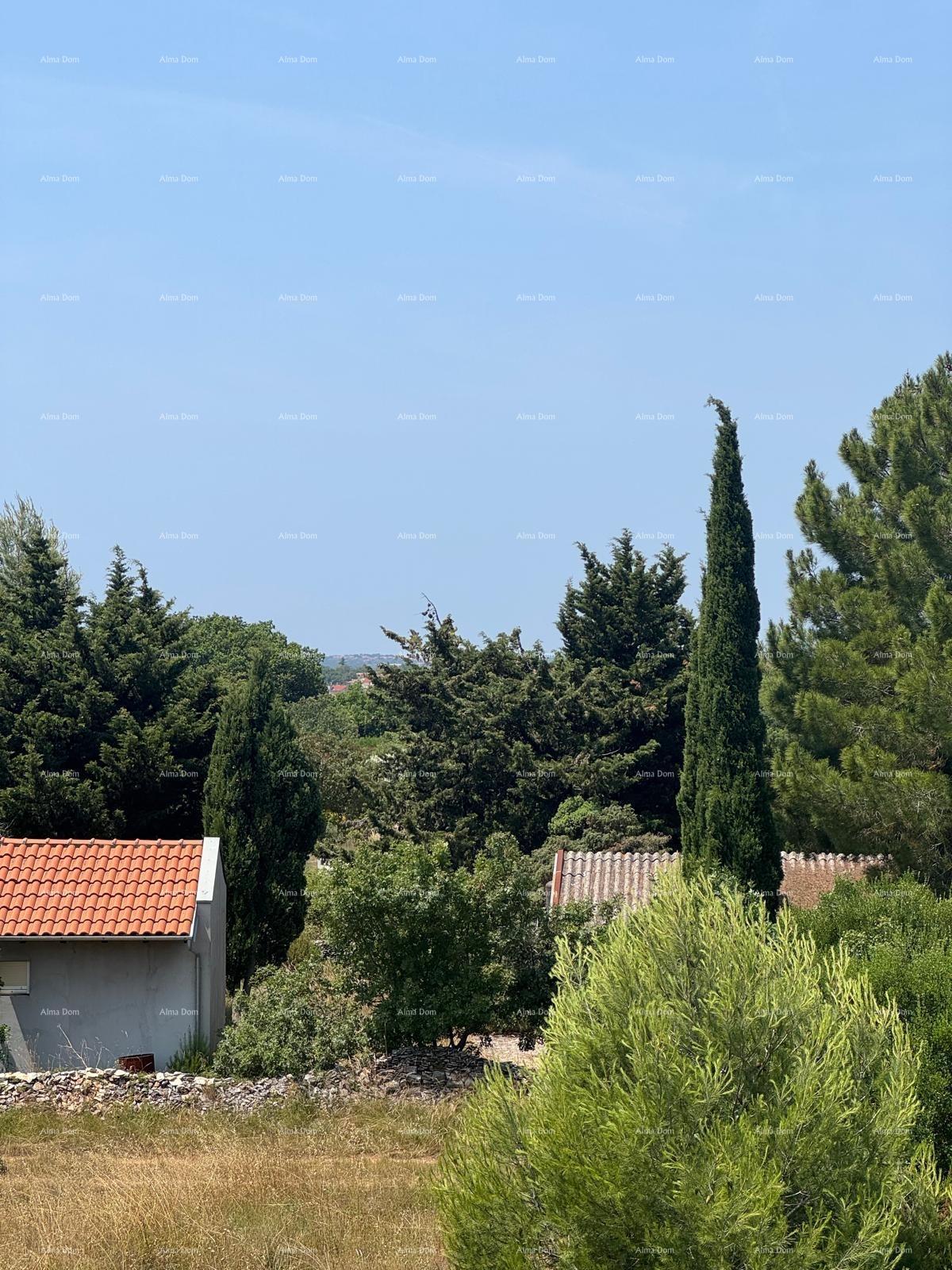 image-18