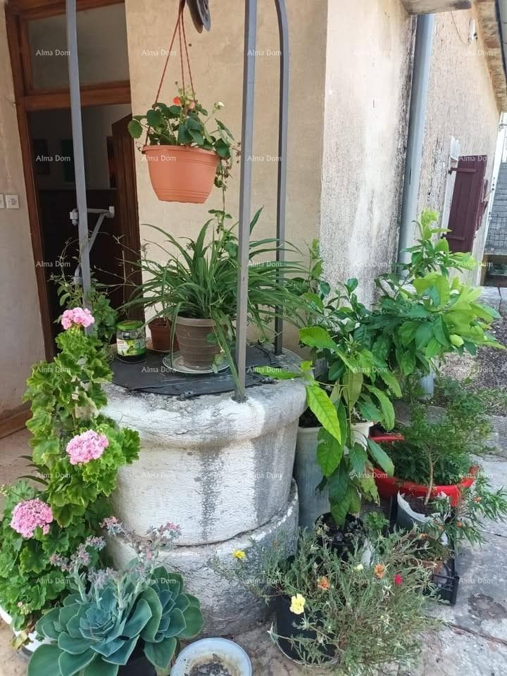 image-18