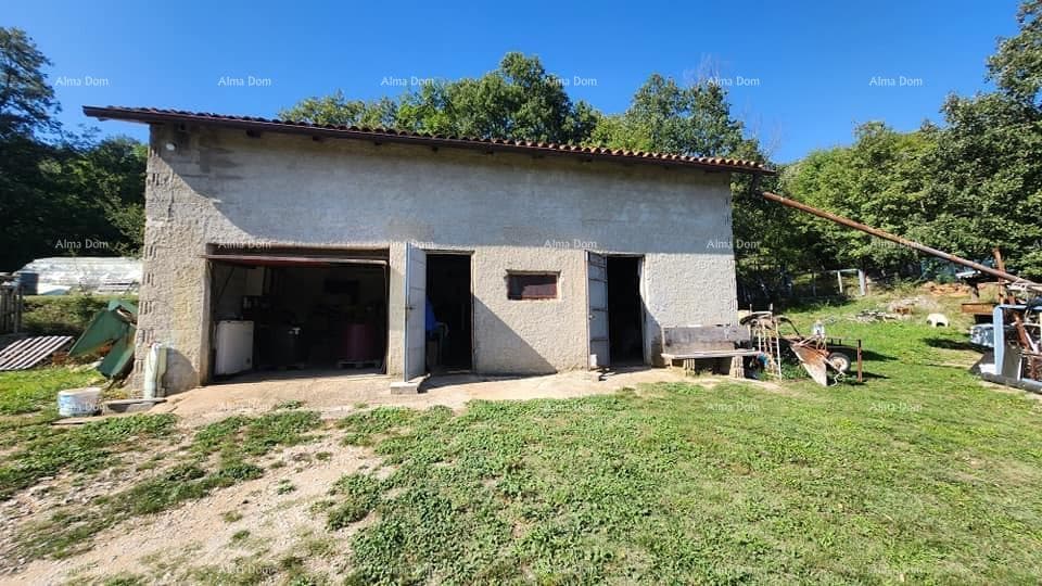 image-10