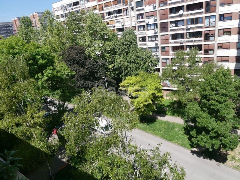 image-25